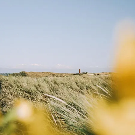 Ferienhaus Tiny House Petite - Aan Zee