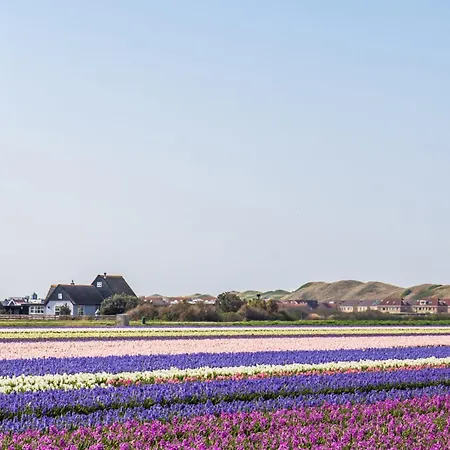 Nyaraló Tiny House Petite - Aan Zee Callantsoog
