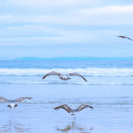 Nyaraló Tiny House Petite - Aan Zee